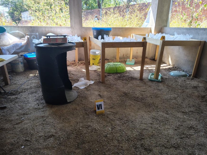 Esto es lo decomisado en golpe  al narcolaboratorio en Yautepec