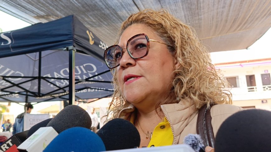 Ambulantes quitan 40%  de venta a locales en ALM