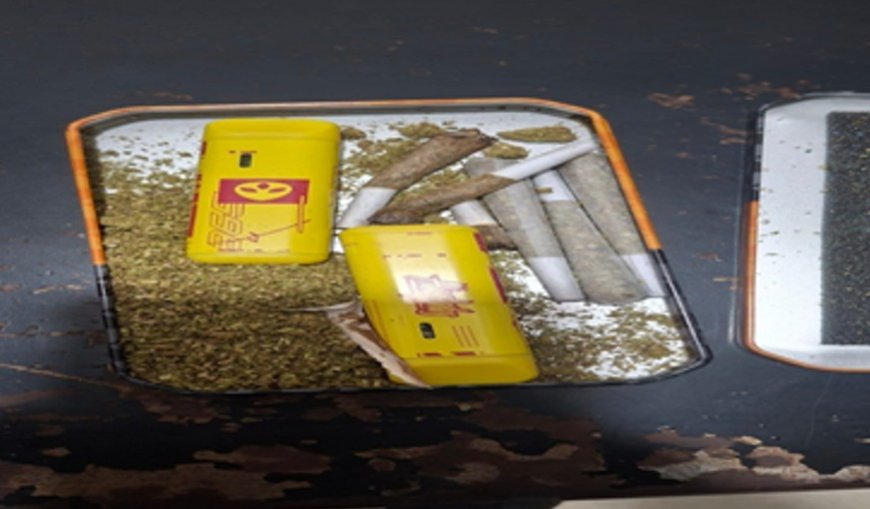 Extranjeros detenidos durante falso  festival electrónico; hallaron drogas