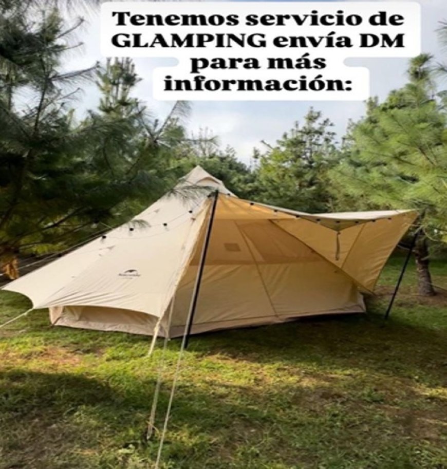 Extranjeros detenidos durante falso  festival electrónico; hallaron drogas