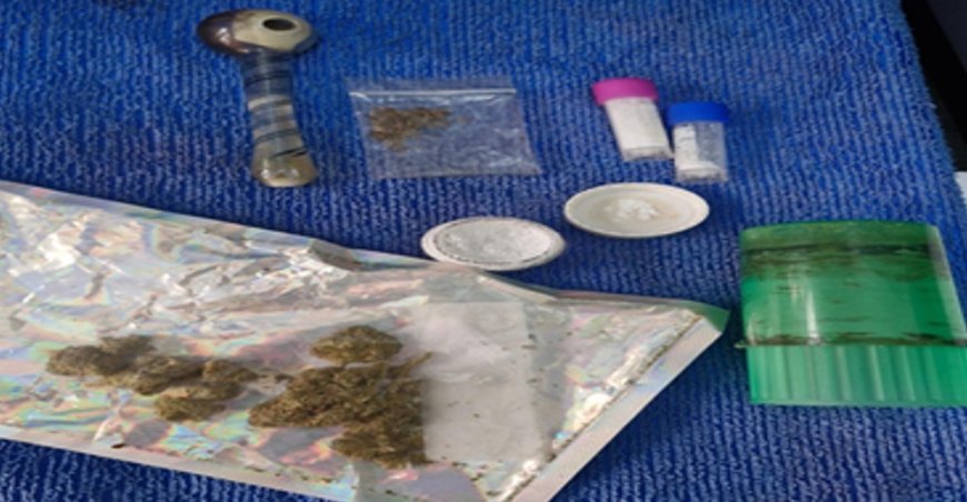 Extranjeros detenidos durante falso  festival electrónico; hallaron drogas