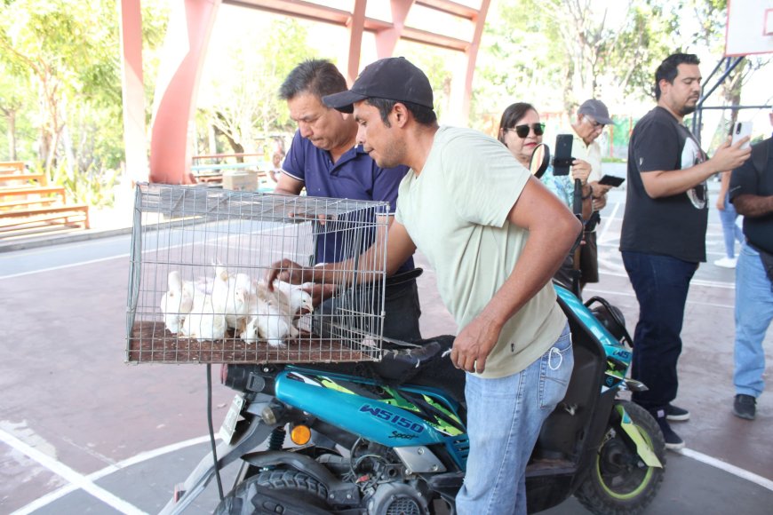 Novena entrega de paquetes de  gallinas ponedoras en Jojutla