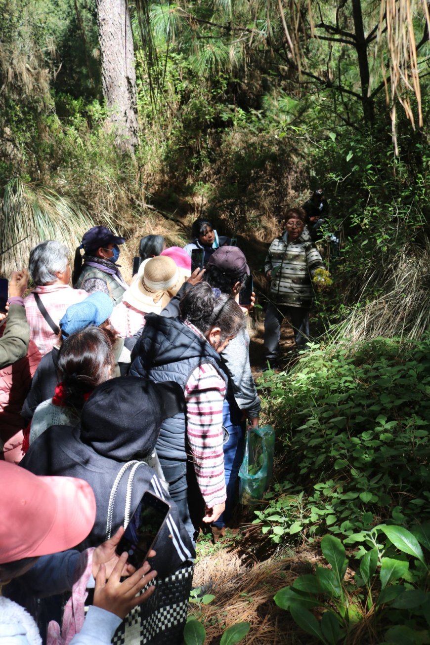Se promueven los saberes  ancestrales de la herbolaria