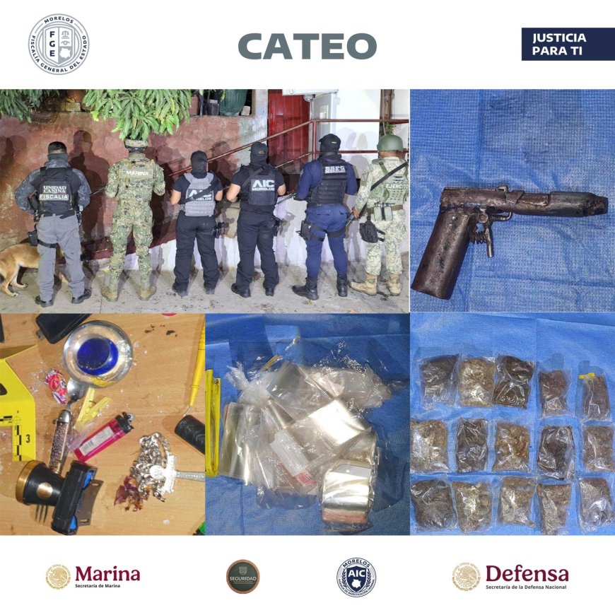 Aseguran indicios de delitos contra la salud durante cateo