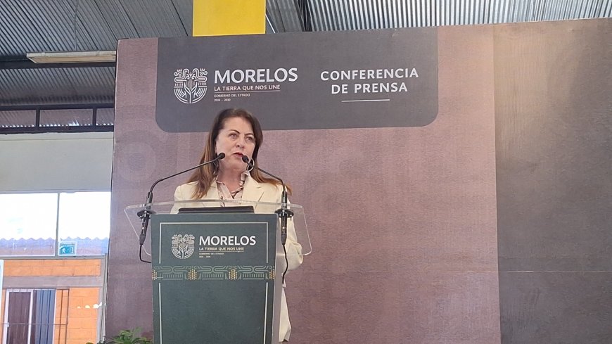 Subraya González Saravia las  bonanzas de Ley de Movilidad