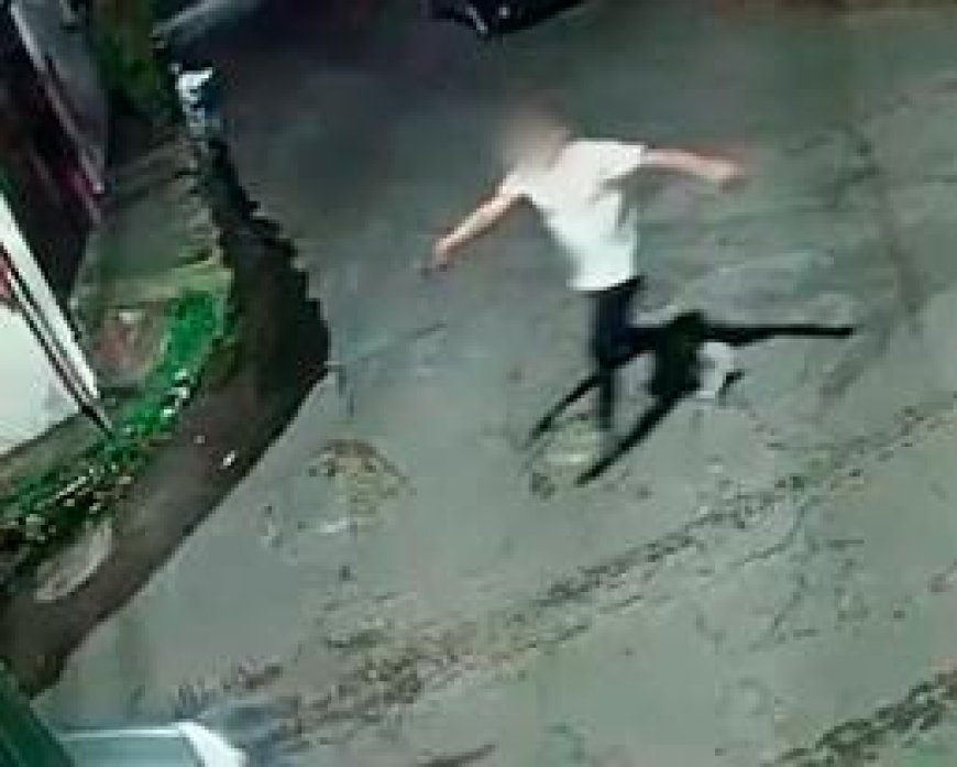 Cayó este trío, posible integrante de  banda de roba autos de Cuernavaca