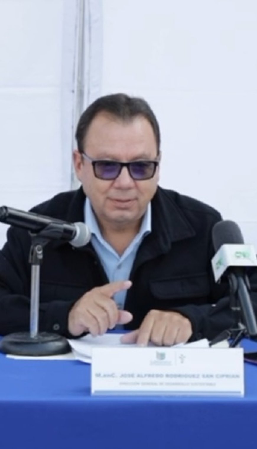 Detallan rescate arbóreo  en templo de Cuernavaca