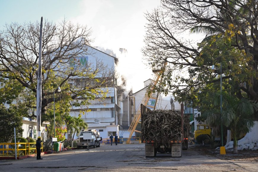 Un nuevo capítulo en la tradición  cañera en Morelos con zafra 2025
