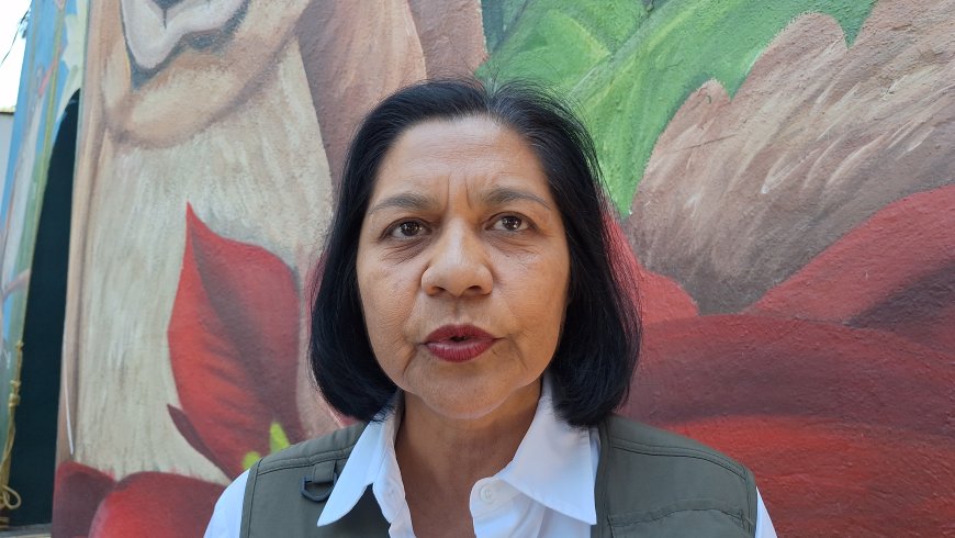 Un cierre de año agrario positivo prevé la Sedagro