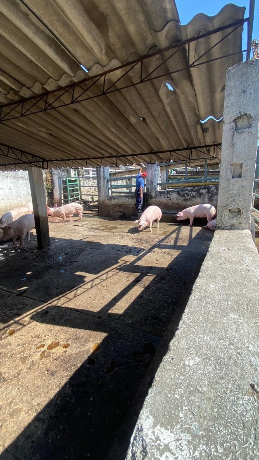 Rastro municipal trabaja con normalidad;  introductores, quienes se manifestaron ayer