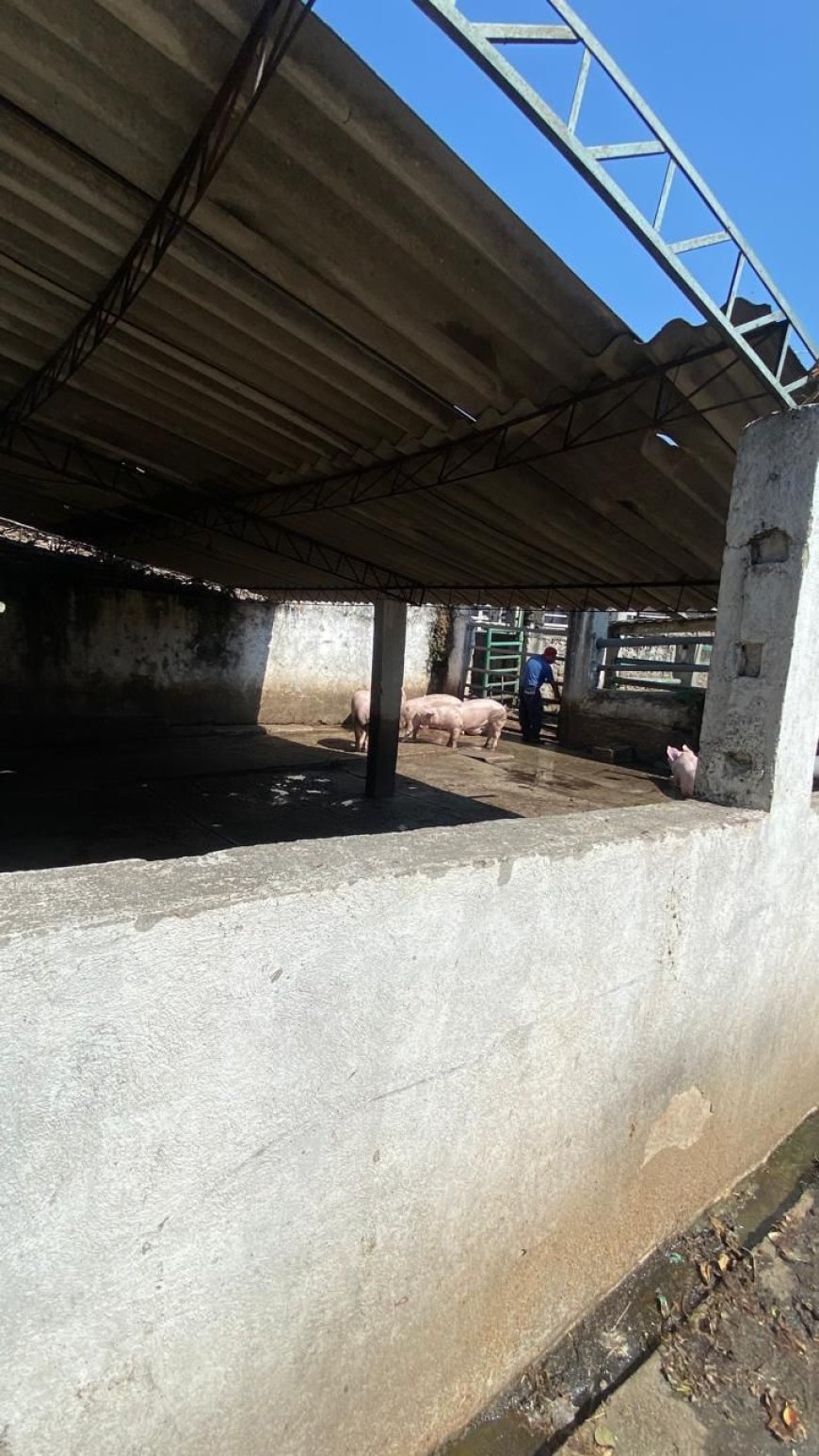 Rastro municipal trabaja con normalidad;  introductores, quienes se manifestaron ayer