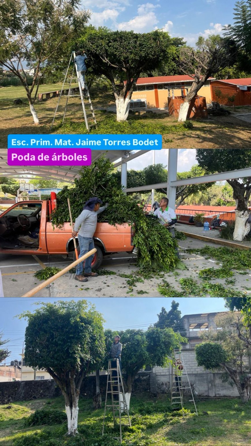 Se mantienen trabajos por  escuelas dignas en Jiutepec