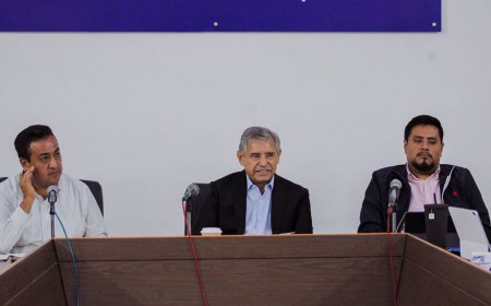 Vienen elección extraordinaria de Consejos de Participación en 2 colonias capitalinas