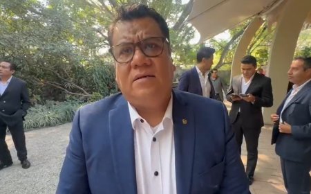 Reconoce comercio baja en delitos