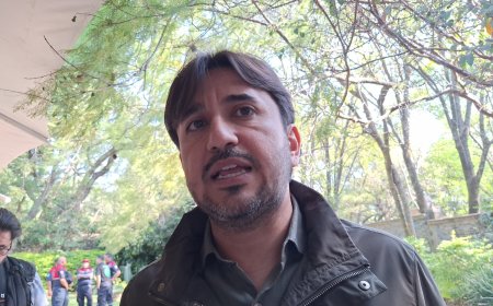 Pronto funcionarán los taxis turísticos