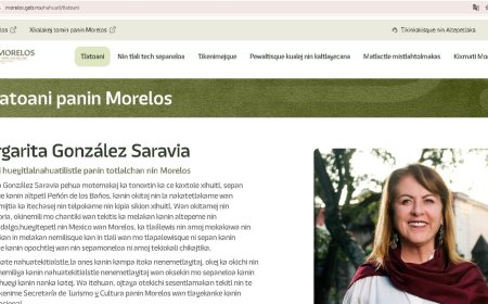 Facilitan servicios  digitales en línea