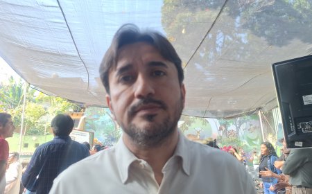 Van por nuevo intento para atraer turismo internacional