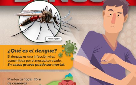 Se intensifican las medidas preventivas contra el dengue