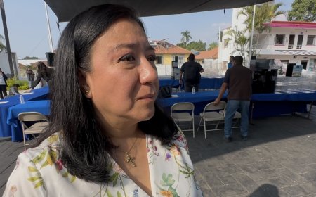 Niega Adriana Pineda  F. que fabrique delitos