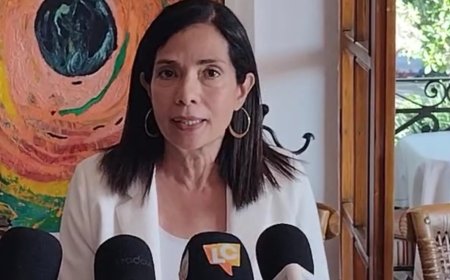 Denuncia persecución política  Ana Virinia de Adriana Pineda