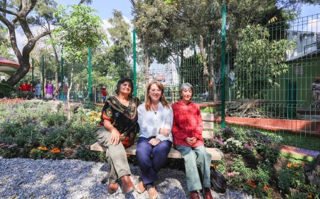 Con los "Parques Raíces", se fomenta cuidado ambiental