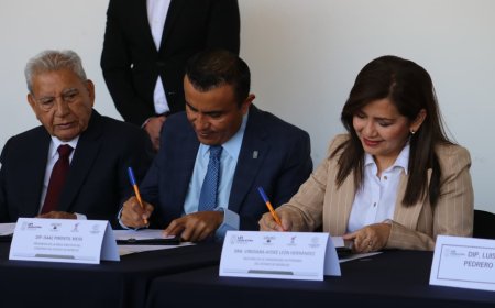 Formación académica más  fuerte: UAEM y Congreso