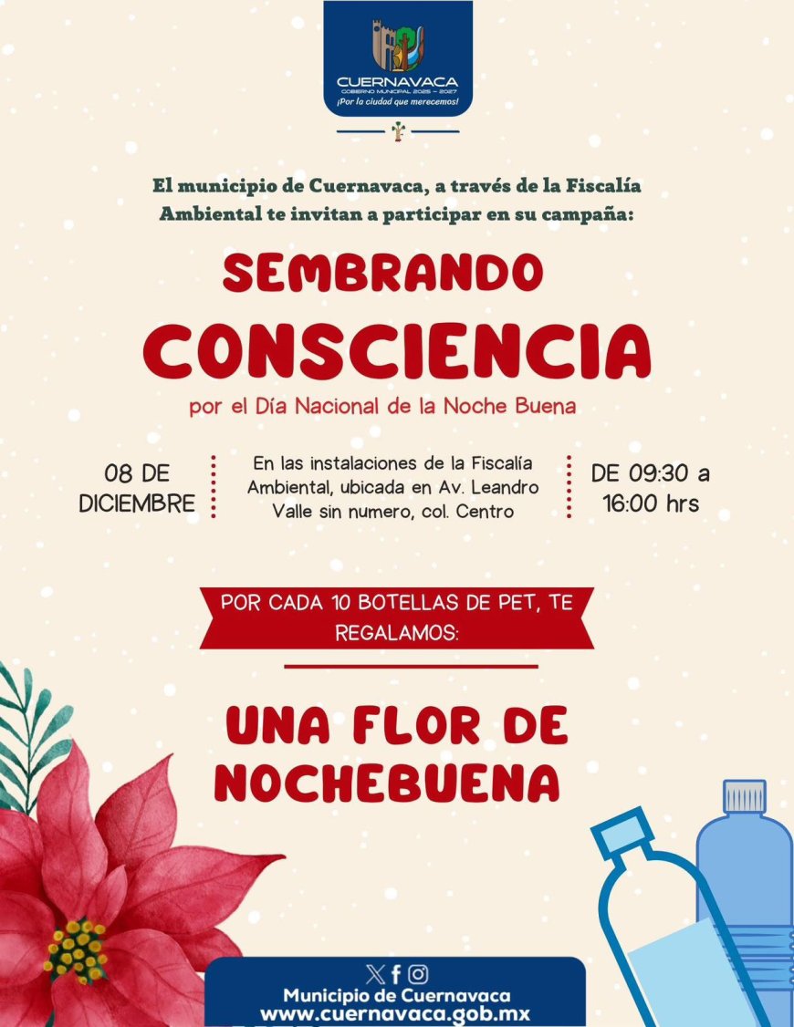 Regalarán nochebuenas a cambio de botellas de pet