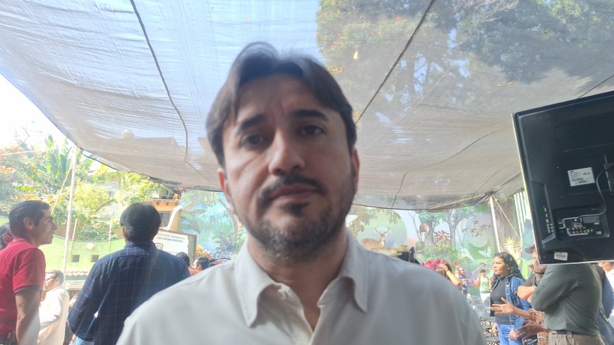 Van por nuevo intento para atraer turismo internacional