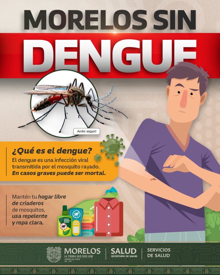 Se intensifican las medidas preventivas contra el dengue