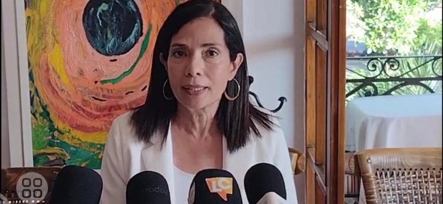 Denuncia persecución política  Ana Virinia de Adriana Pineda