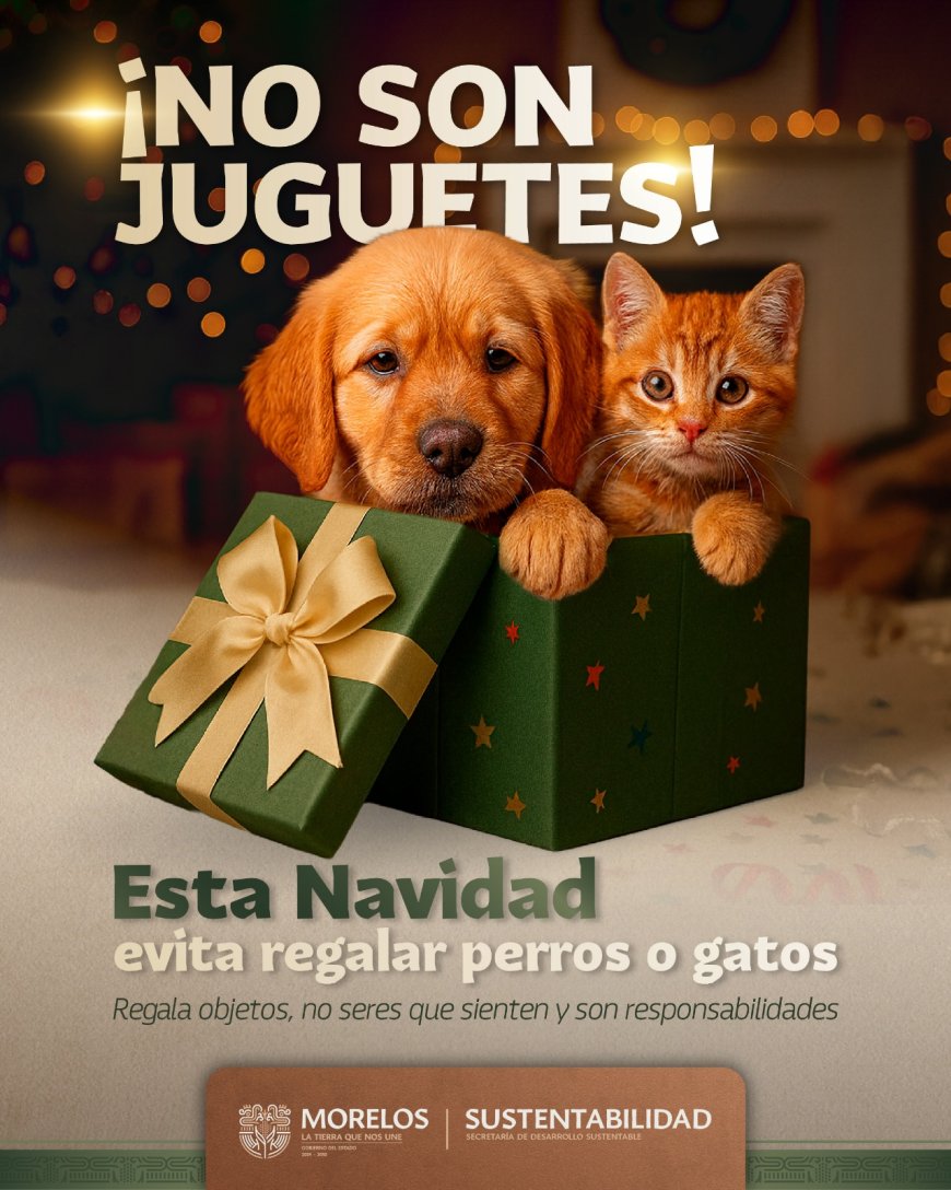 Las mascotas no son regalo de  Navidad; piden no incurrir en ello