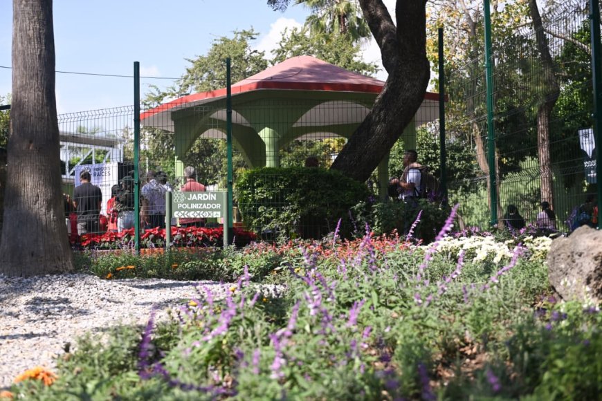 Con los "Parques Raíces", se fomenta cuidado ambiental