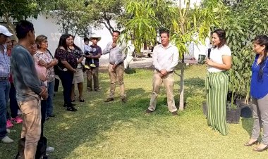 Entrega Ayto. de Ayala 5 mil árboles de diversas especies endémicas y frutales