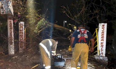 Daños materiales por fuertes vientos con precipitación pluvial en Cuautla