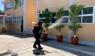Buscan erradicar proliferación del mosco trasmisor de dengue, zika y chikungunya