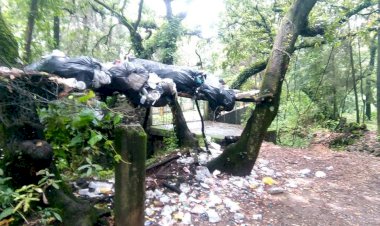 «Basureros públicos» los  senderos de Tepoztlán