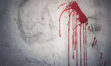 Tiraron manos mutiladas y cabeza cercenada