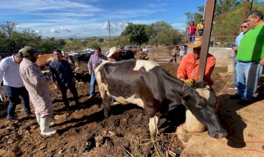 Ni avances ni resultados en denuncias de abigeato, informaron ganaderos
