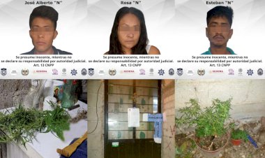 Catean dos casas y detienen a cinco personas con drogas