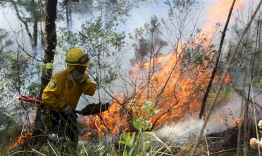 Se refuerzan acciones en contra  de los incendios forestales