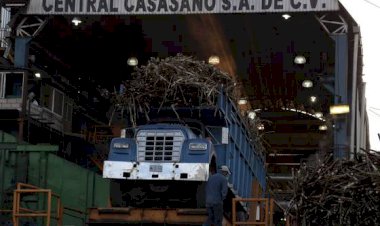 Rompe nuevo récord el ingenio Casasano