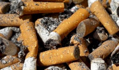 Colillas de cigarros en la calle  es un problema de contaminación