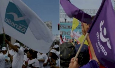 Buscan conocer si PES y PANAL Pueden hacer alianzas en 2021