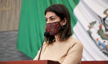 Presenta diputada Ana Cristina Guevara iniciativa para reconocer  el derecho a un medio ambiente sano en la constitución local.