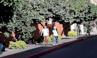 Piden a católicos no celebrar a la Virgen de Guadalupe