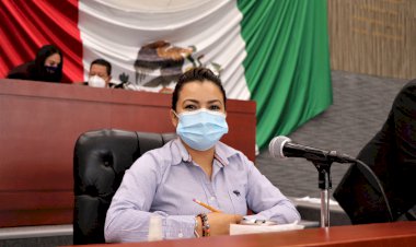 Llama diputada Érika García a los tres niveles de gobierno  para garantizar la protección de los derechos humanos