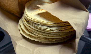 El kilo de la tortilla en Morelos llega a $20