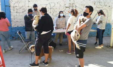 Se realiza en Cuautla 3a Feria de la Salud Canina