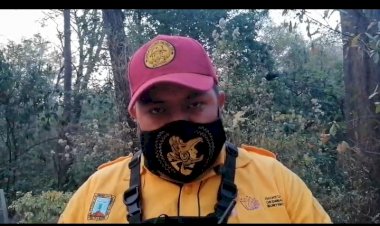 Quedan cinco incendios forestales en la entidad