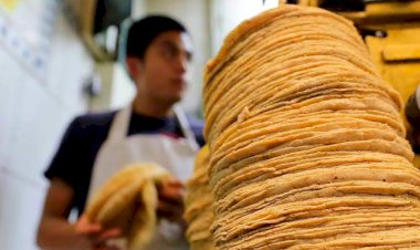 Casi 2 decenas de tortillerías ya cerraron por la pandemia